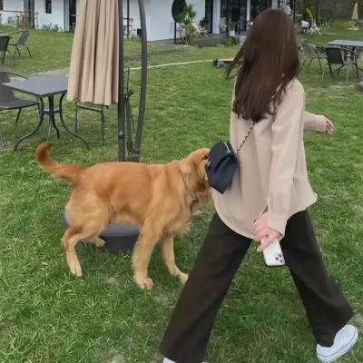 隐婚男女